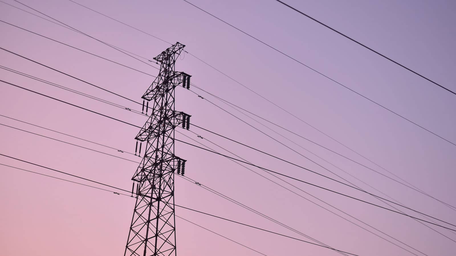 Power lines in the evening