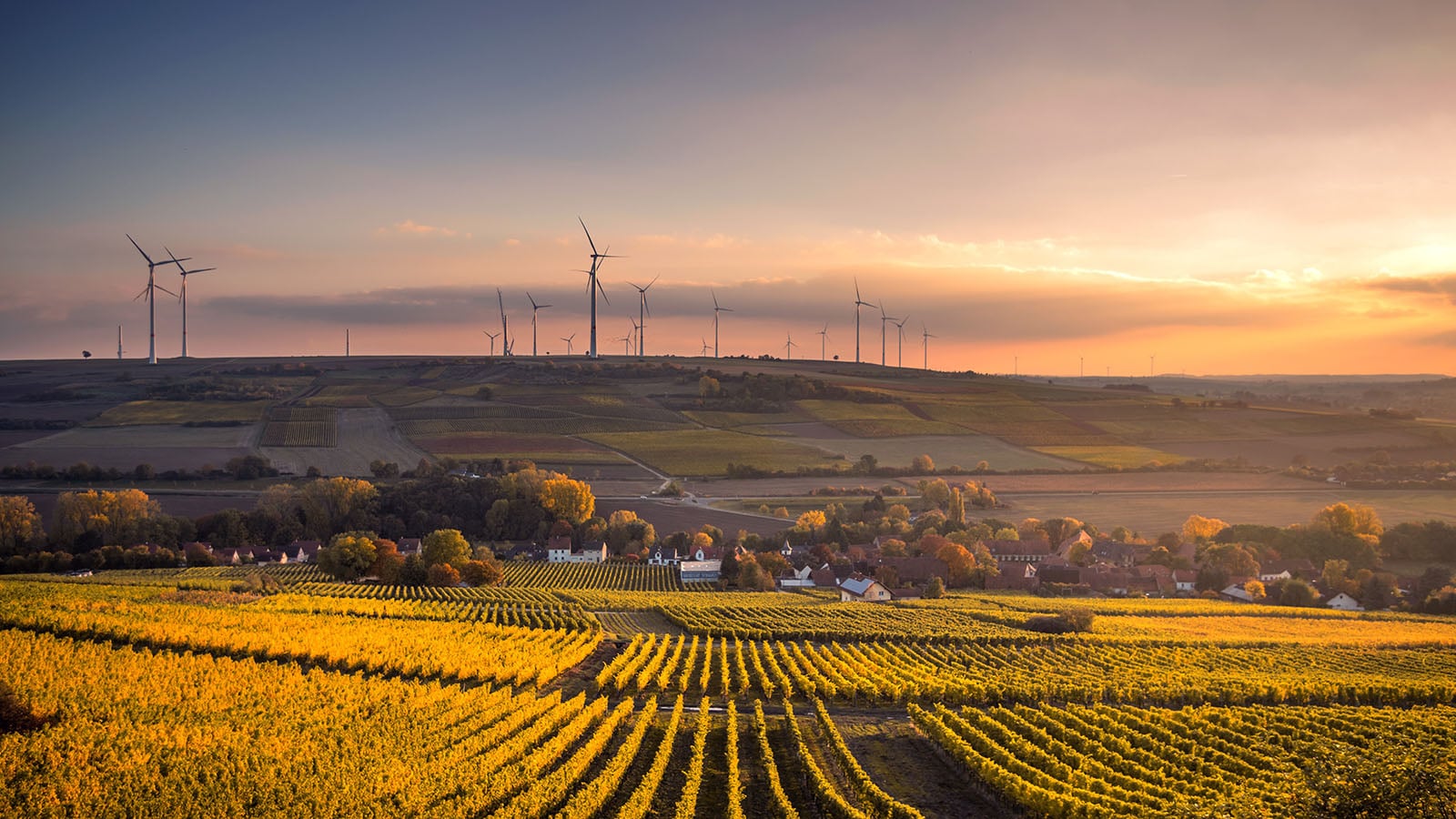 Wind farm image