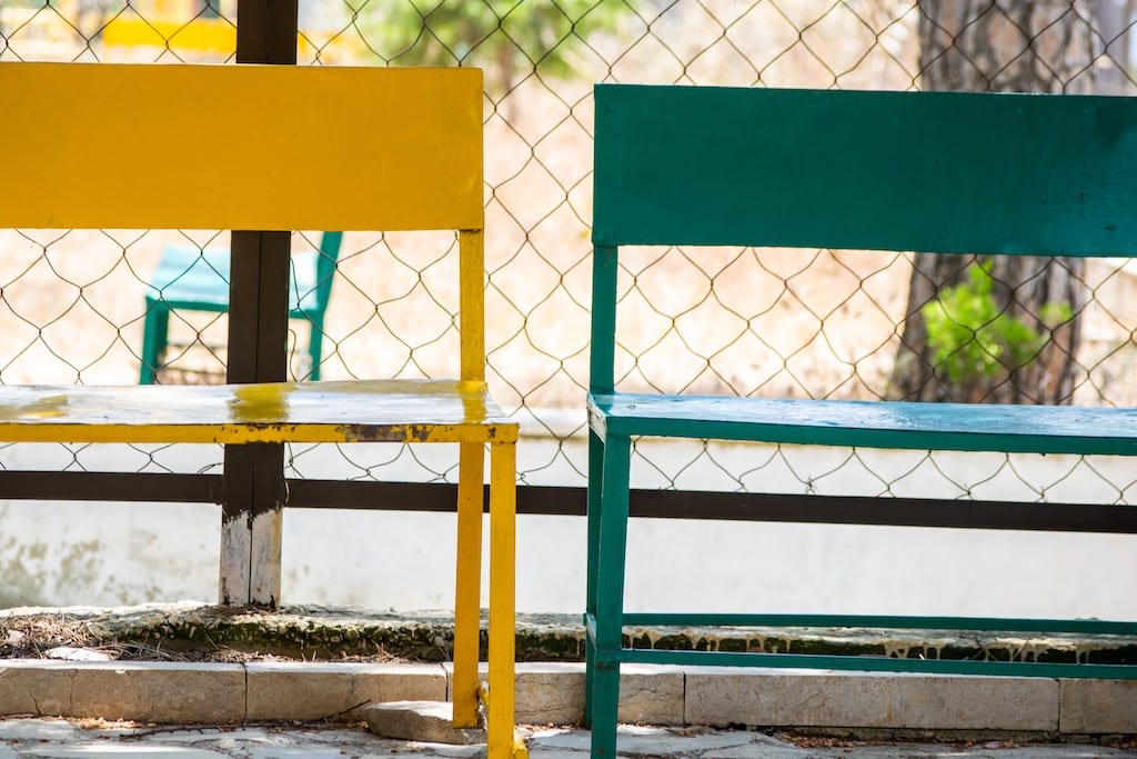 two benches in a park